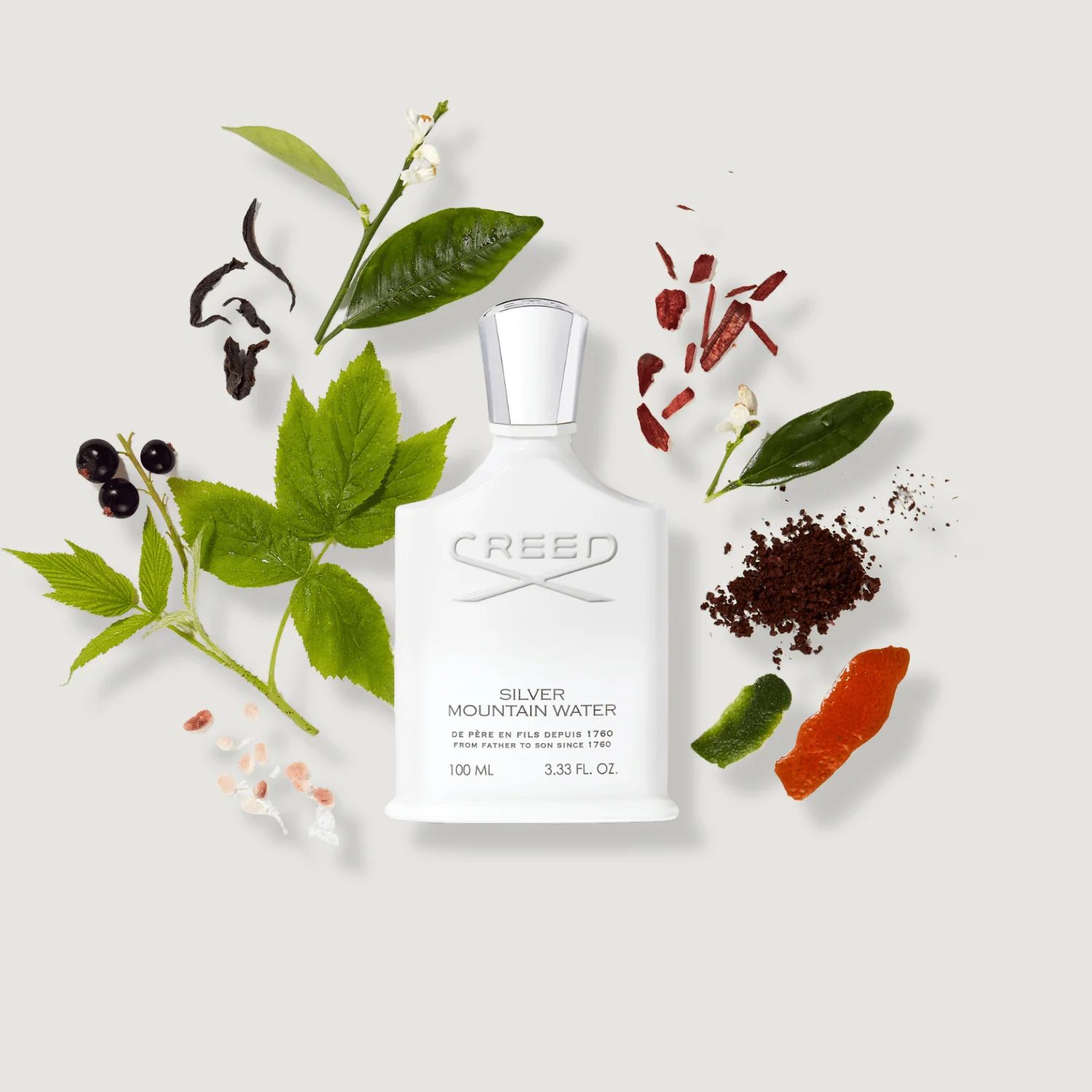 Silver-Mountain-Water-E6E5E1 Creed Silver Mountain Water Unisex 100ml - Image 3